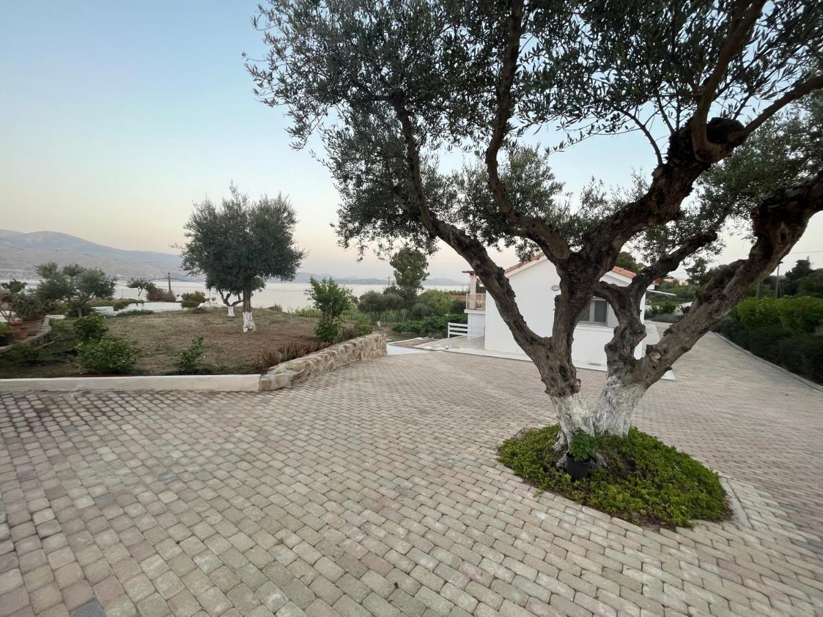 Apollonides Seafront Villa1 Aoede Ликсури Екстериор снимка