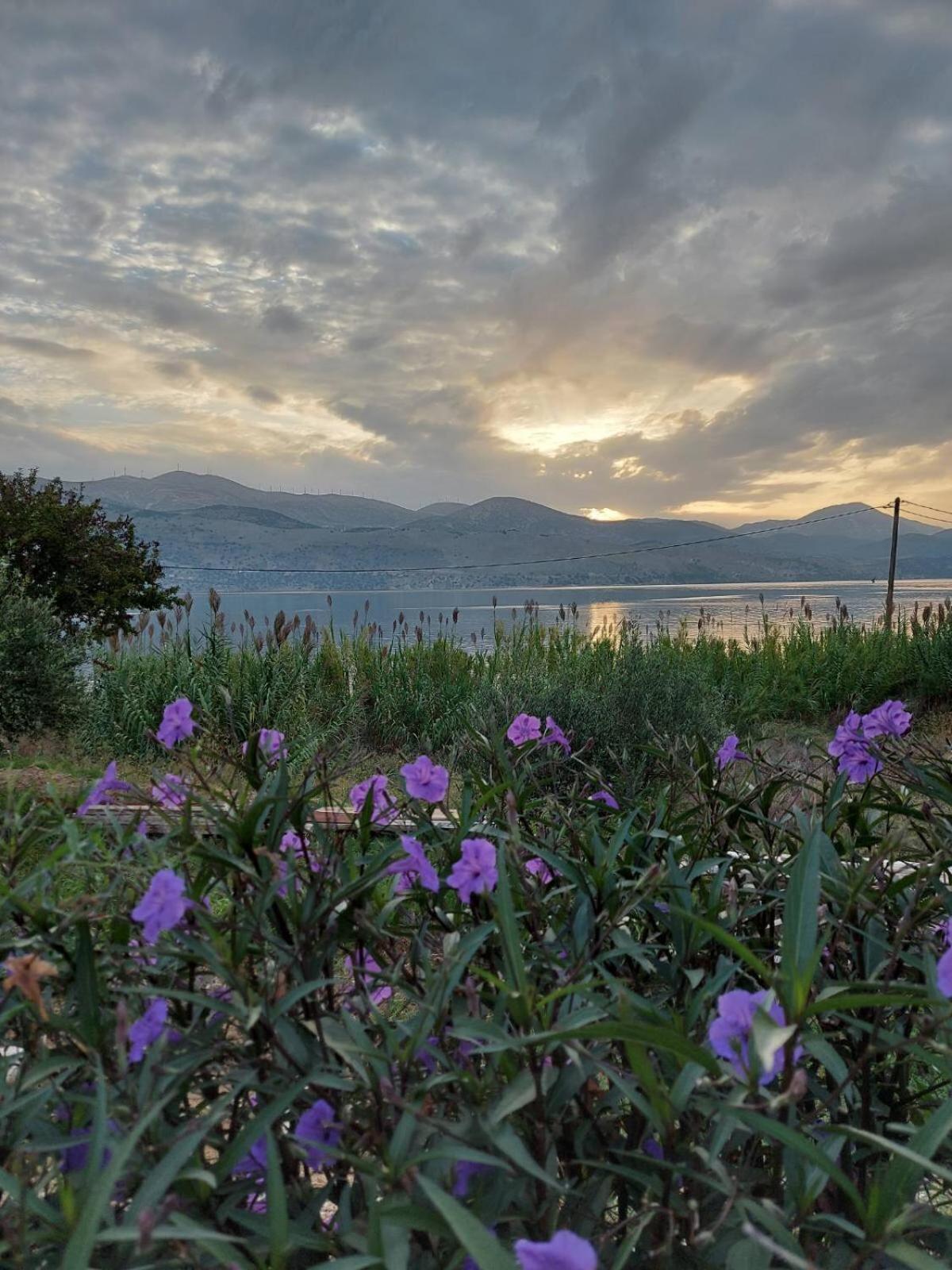 Apollonides Seafront Villa1 Aoede Ликсури Екстериор снимка
