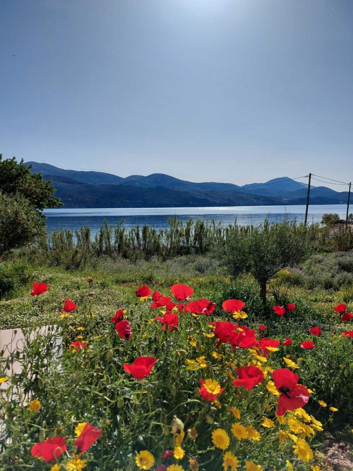 Apollonides Seafront Villa1 Aoede Ликсури Екстериор снимка